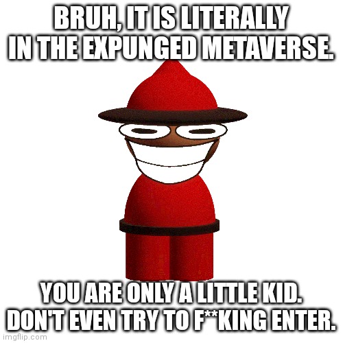 Blank Transparent Square Meme | BRUH, IT IS LITERALLY IN THE EXPUNGED METAVERSE. YOU ARE ONLY A LITTLE KID. DON'T EVEN TRY TO F**KING ENTER. | image tagged in memes,blank transparent square | made w/ Imgflip meme maker