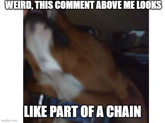 WEIRD, THIS COMMENT ABOVE ME LOOKS LIKE PART OF A CHAIN | made w/ Imgflip meme maker