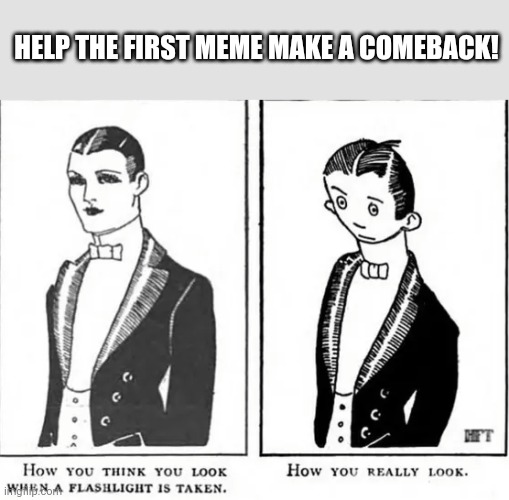 The first meme | HELP THE FIRST MEME MAKE A COMEBACK! | image tagged in the first meme | made w/ Imgflip meme maker