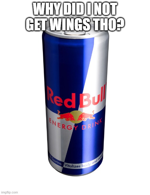 Redbull experience | WHY DID I NOT GET WINGS THO? | image tagged in redbull experience,give me wings | made w/ Imgflip meme maker