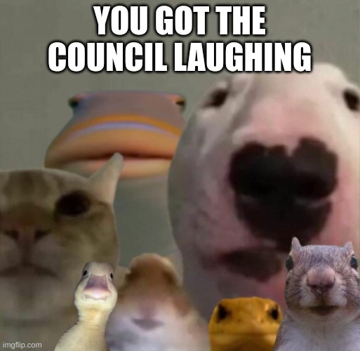 The council remastered | YOU GOT THE COUNCIL LAUGHING | image tagged in the council remastered | made w/ Imgflip meme maker