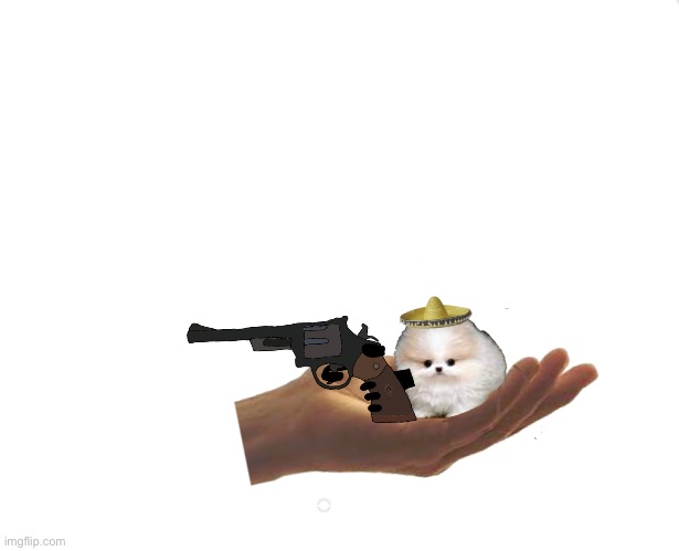 Dog with a gun | image tagged in its,a,dog,with,a gun | made w/ Imgflip meme maker