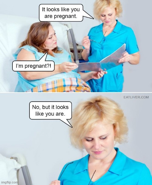 image tagged in memes | made w/ Imgflip meme maker