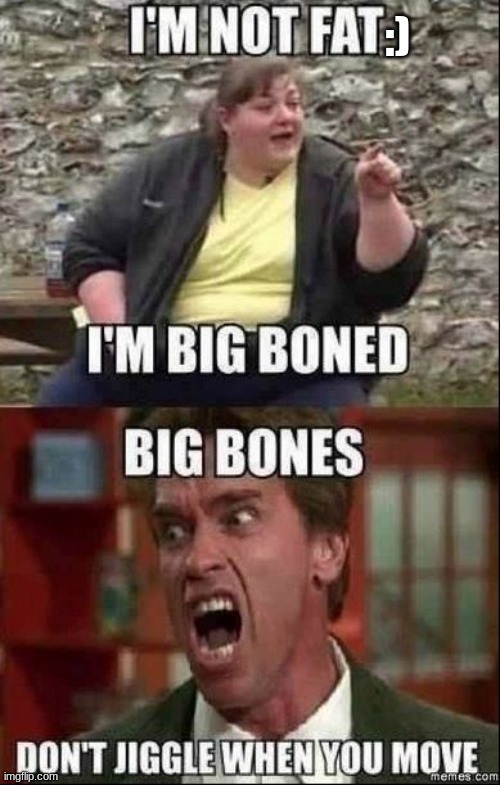 fat | :) | image tagged in people,fat,oops | made w/ Imgflip meme maker