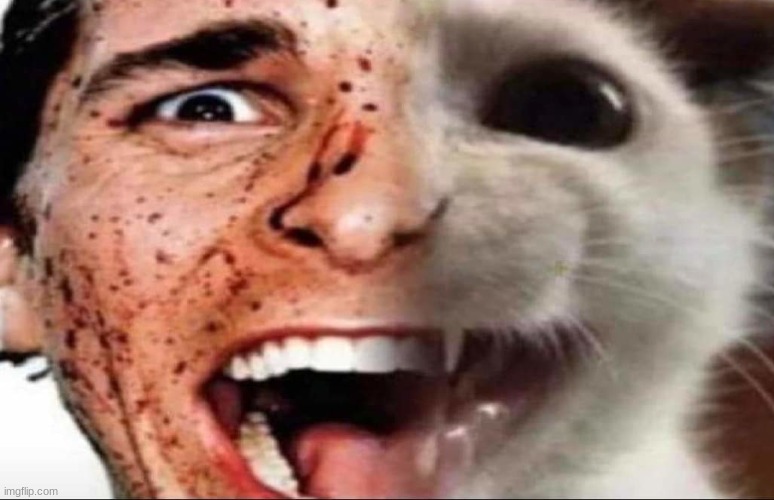 american psycho cat | image tagged in american psycho cat | made w/ Imgflip meme maker