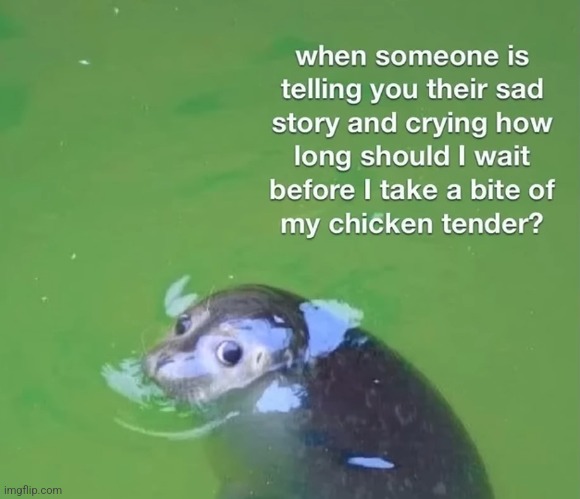 image tagged in funny memes | made w/ Imgflip meme maker