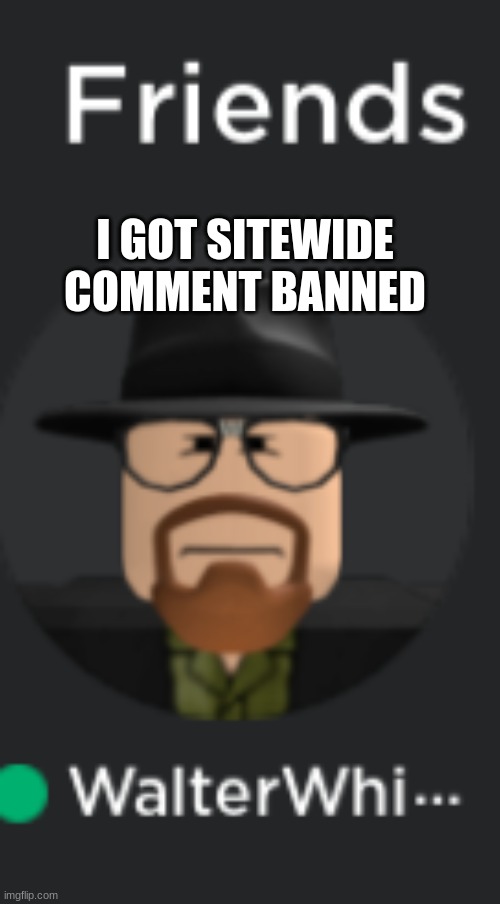 roblox Walter White | I GOT SITEWIDE COMMENT BANNED | image tagged in roblox walter white | made w/ Imgflip meme maker