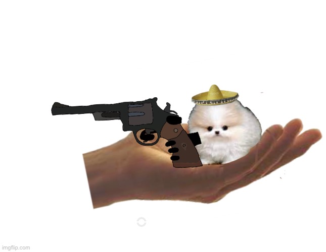 A dog with a gun | image tagged in a,dog,with,a gun | made w/ Imgflip meme maker