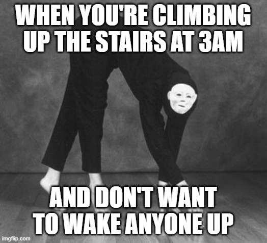 True | WHEN YOU'RE CLIMBING UP THE STAIRS AT 3AM; AND DON'T WANT TO WAKE ANYONE UP | image tagged in steal yo girl face tip toes,weird | made w/ Imgflip meme maker