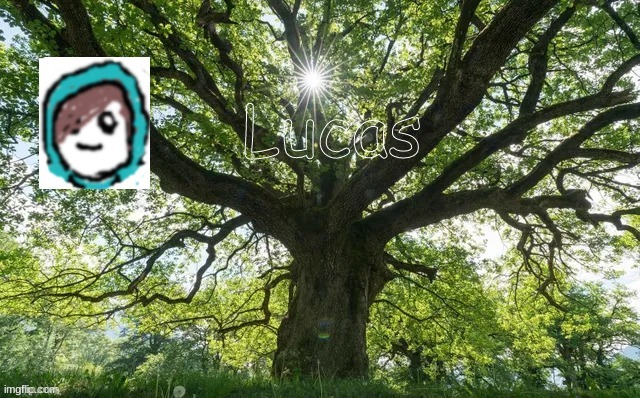 Lucas | image tagged in lucas | made w/ Imgflip meme maker