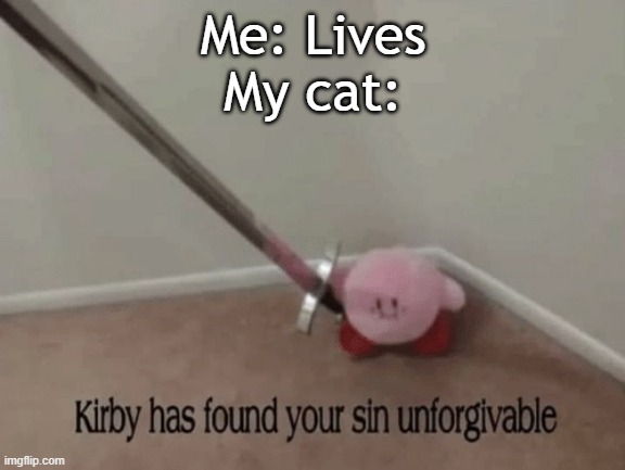 Cats | Me: Lives
My cat: | image tagged in kirby has found your sin unforgivable,cats | made w/ Imgflip meme maker
