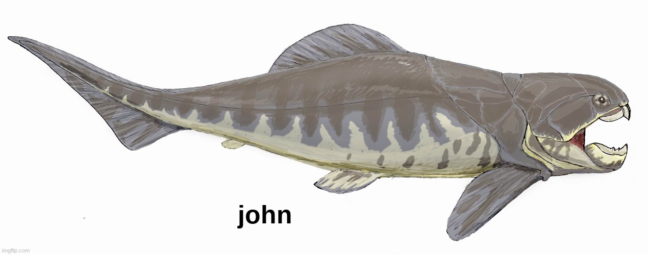 john | john | image tagged in john | made w/ Imgflip meme maker