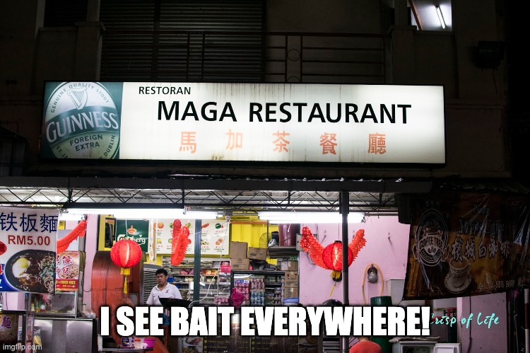 I SEE BAIT EVERYWHERE! | made w/ Imgflip meme maker