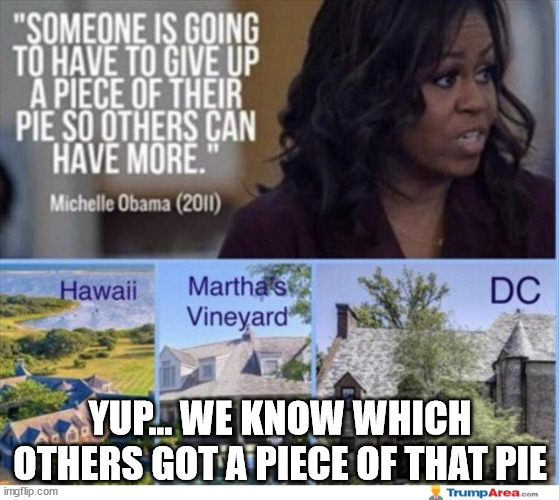 How many houses does one person need... Gee I wonder who said that... | YUP... WE KNOW WHICH OTHERS GOT A PIECE OF THAT PIE | image tagged in michelle obama,greed | made w/ Imgflip meme maker