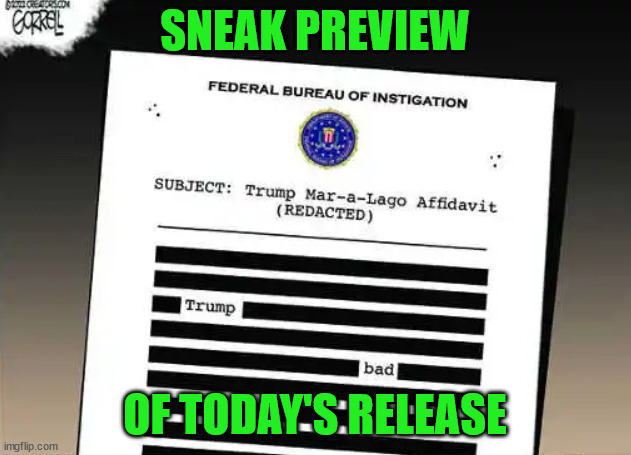 They can't show you the truth... they have none | SNEAK PREVIEW; OF TODAY'S RELEASE | image tagged in lying,fbi | made w/ Imgflip meme maker