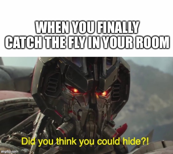 I decapitated a fly once :) | WHEN YOU FINALLY CATCH THE FLY IN YOUR ROOM | image tagged in did you think you could hide | made w/ Imgflip meme maker