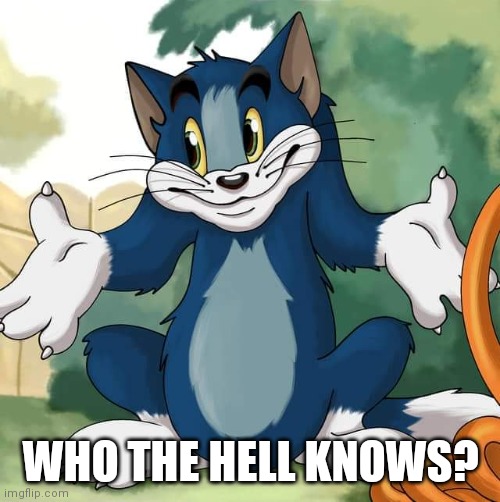 Tom and Jerry - Tom Who Knows HD | WHO THE HELL KNOWS? | image tagged in tom and jerry - tom who knows hd | made w/ Imgflip meme maker
