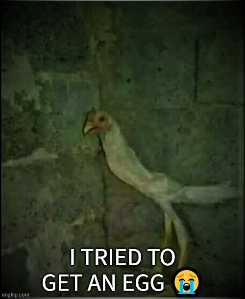 Tried and Failed | I TRIED TO GET AN EGG 😭 | image tagged in chicken,cursed image | made w/ Imgflip meme maker
