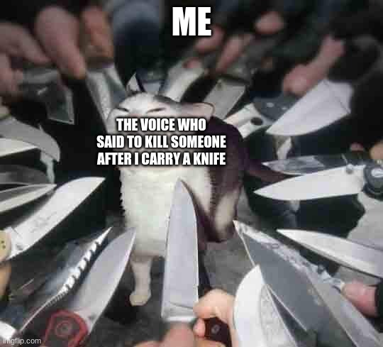 Knife Cat | ME THE VOICE WHO SAID TO KILL SOMEONE AFTER I CARRY A KNIFE | image tagged in knife cat | made w/ Imgflip meme maker