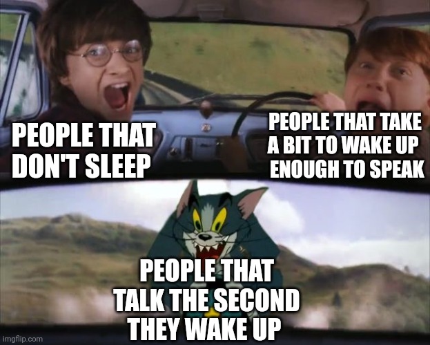 Tom chasing Harry and Ron Weasly | PEOPLE THAT TAKE A BIT TO WAKE UP 
 ENOUGH TO SPEAK; PEOPLE THAT DON'T SLEEP; PEOPLE THAT TALK THE SECOND THEY WAKE UP | image tagged in tom chasing harry and ron weasly | made w/ Imgflip meme maker