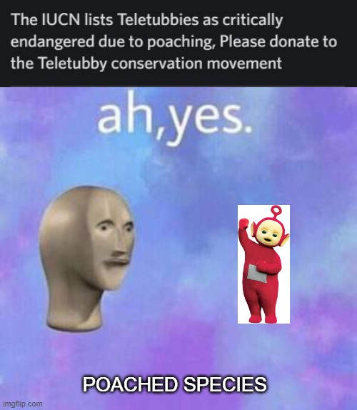 I think I just found the most random discord custom status | POACHED SPECIES | image tagged in ah yes,random | made w/ Imgflip meme maker