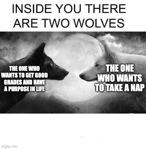 this is my personality confirmed | THE ONE WHO WANTS TO TAKE A NAP; THE ONE WHO WANTS TO GET GOOD GRADES AND HAVE A PURPOSE IN LIFE | image tagged in inside you there are two wolves,memes | made w/ Imgflip meme maker