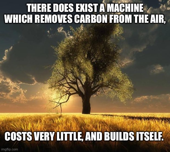 No EV needed | THERE DOES EXIST A MACHINE WHICH REMOVES CARBON FROM THE AIR, COSTS VERY LITTLE, AND BUILDS ITSELF. | image tagged in tree of life,carbon footprint | made w/ Imgflip meme maker