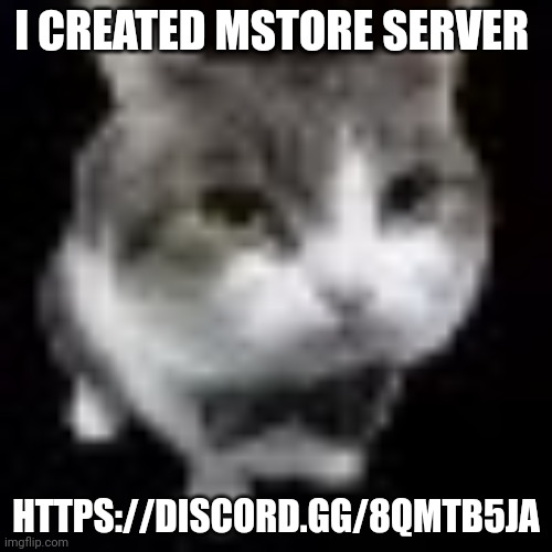 Le wawa cat | I CREATED MSTORE SERVER; HTTPS://DISCORD.GG/8QMTB5JA | image tagged in le wawa cat | made w/ Imgflip meme maker