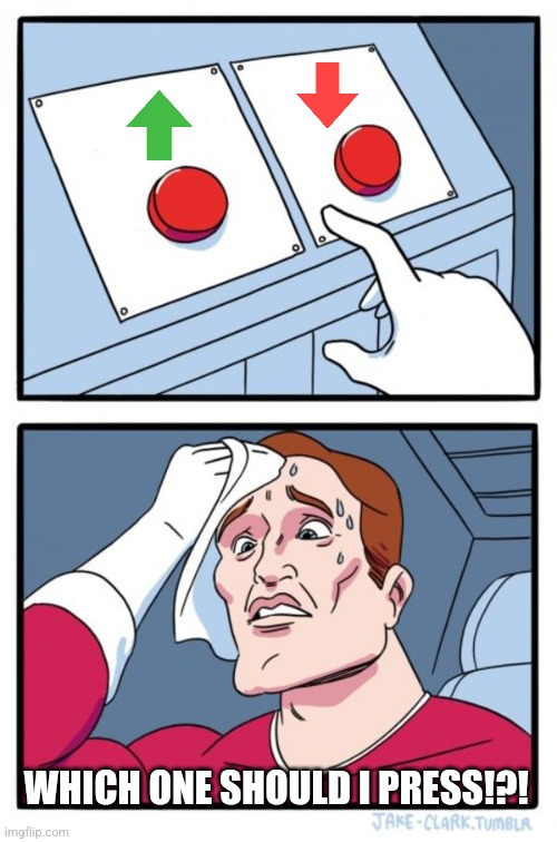 Two Buttons Meme | WHICH ONE SHOULD I PRESS!?! | image tagged in memes,two buttons | made w/ Imgflip meme maker