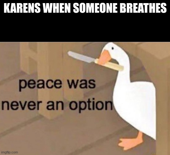... | KARENS WHEN SOMEONE BREATHES | image tagged in peace was never an option | made w/ Imgflip meme maker
