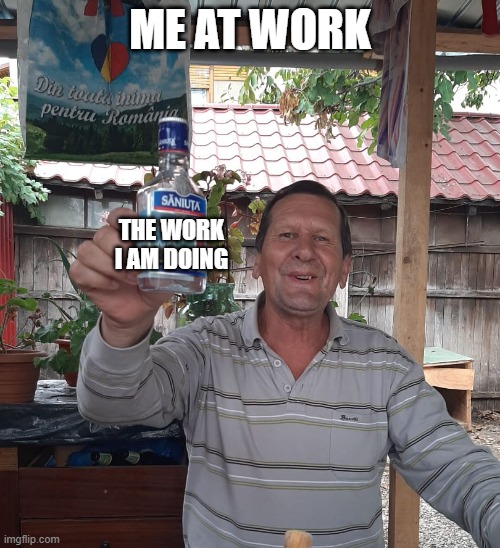 Saniuta | ME AT WORK; THE WORK I AM DOING | image tagged in saniuta | made w/ Imgflip meme maker