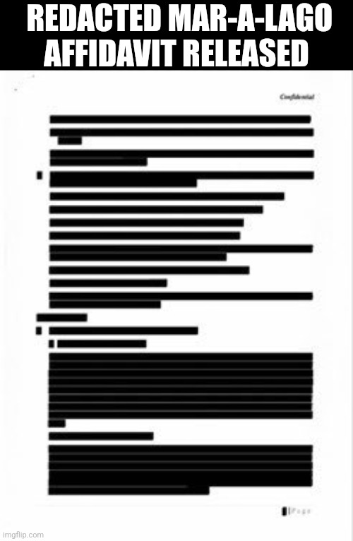 REDACTED MAR-A-LAGO AFFIDAVIT RELEASED | made w/ Imgflip meme maker