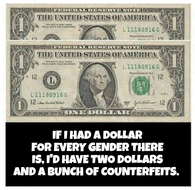 You are here because your Dad's not queer. | image tagged in gender confusion,look in hour panties,gender identity,2 genders,gender fluid is what your daddy created you with | made w/ Imgflip meme maker