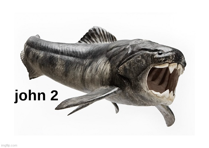 john 2 | john 2 | image tagged in john 2 | made w/ Imgflip meme maker