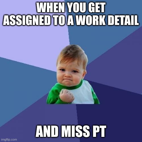 Success Kid Meme | WHEN YOU GET ASSIGNED TO A WORK DETAIL; AND MISS PT | image tagged in memes,success kid | made w/ Imgflip meme maker