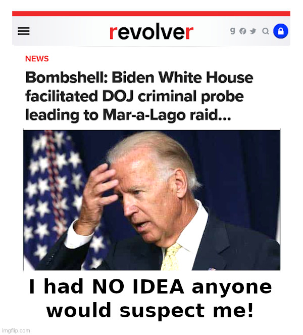 Joe Biden: I Had No Idea Anyone Would Suspect Me! | image tagged in joe biden,fbi,mar-a-lago,raid,deep state,government corruption | made w/ Imgflip meme maker