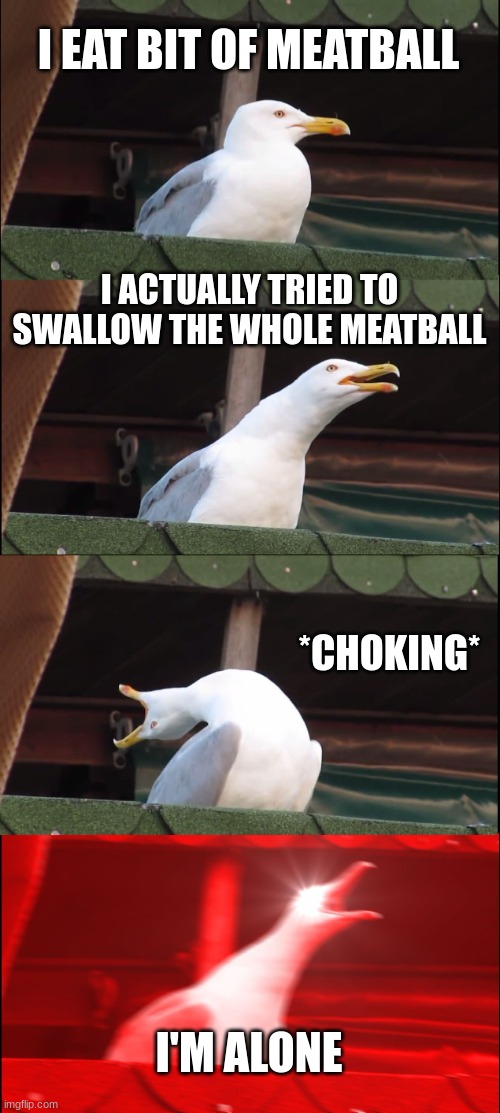 scery |  I EAT BIT OF MEATBALL; I ACTUALLY TRIED TO SWALLOW THE WHOLE MEATBALL; *CHOKING*; I'M ALONE | image tagged in memes,inhaling seagull | made w/ Imgflip meme maker