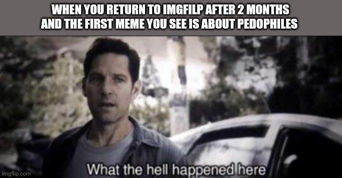 Why is there drama on a meme site |  WHEN YOU RETURN TO IMGFILP AFTER 2 MONTHS AND THE FIRST MEME YOU SEE IS ABOUT PEDOPHILES | image tagged in what the hell happened here | made w/ Imgflip meme maker