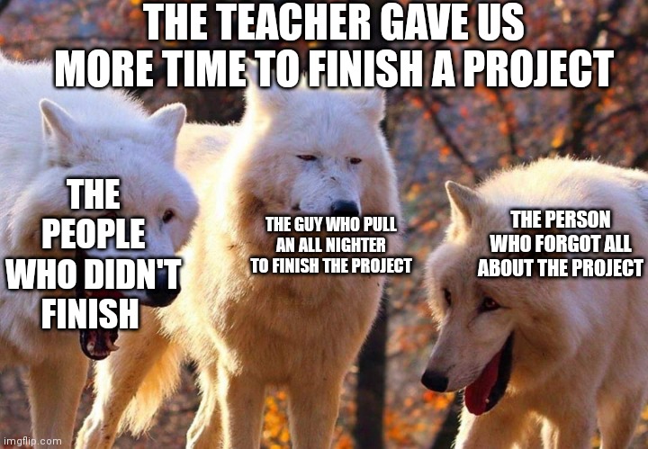 Laughing dogs with pissed dog | THE TEACHER GAVE US MORE TIME TO FINISH A PROJECT; THE PEOPLE WHO DIDN'T FINISH; THE PERSON WHO FORGOT ALL ABOUT THE PROJECT; THE GUY WHO PULL AN ALL NIGHTER TO FINISH THE PROJECT | image tagged in laughing dogs with pissed dog | made w/ Imgflip meme maker