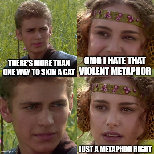 meow | THERE'S MORE THAN ONE WAY TO SKIN A CAT; OMG I HATE THAT VIOLENT METAPHOR; JUST A METAPHOR RIGHT | image tagged in anakin padme 4 panel | made w/ Imgflip meme maker
