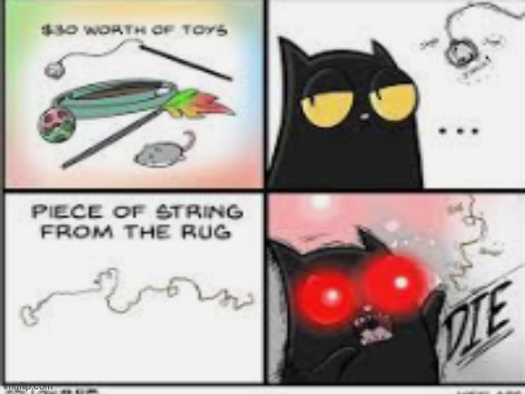 Credit to Cody Stone Stowe, the creator of WeFlaps Comics | image tagged in coral the cat,weflaps comic | made w/ Imgflip meme maker