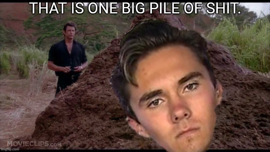 THAT IS ONE BIG PILE OF SHIT. | made w/ Imgflip meme maker