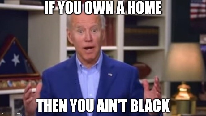 "Black and Hispanic borrowers... don't own their homes to borrow against to be able to pay for college" - Racist Joke Biden | IF YOU OWN A HOME; THEN YOU AIN'T BLACK | image tagged in joe biden you ain't black,biden,democrats,student loans | made w/ Imgflip meme maker