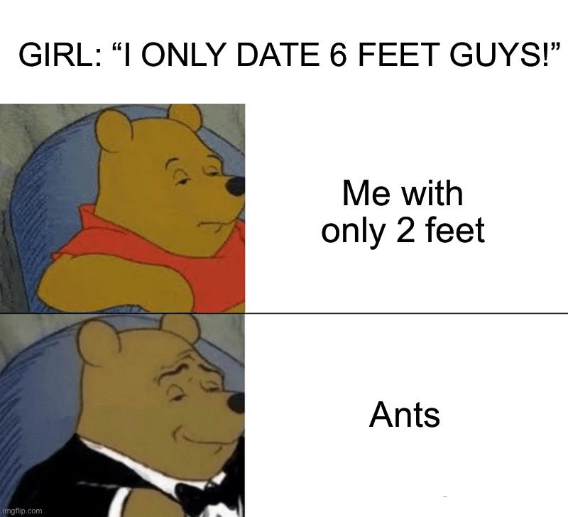 Zad | GIRL: “I ONLY DATE 6 FEET GUYS!”; Me with only 2 feet; Ants | image tagged in memes,tuxedo winnie the pooh,funny,ants,crush,6 foot | made w/ Imgflip meme maker