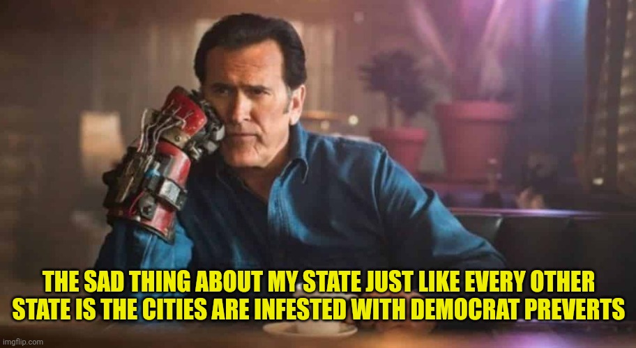 THE SAD THING ABOUT MY STATE JUST LIKE EVERY OTHER STATE IS THE CITIES ARE INFESTED WITH DEMOCRAT PREVERTS | made w/ Imgflip meme maker