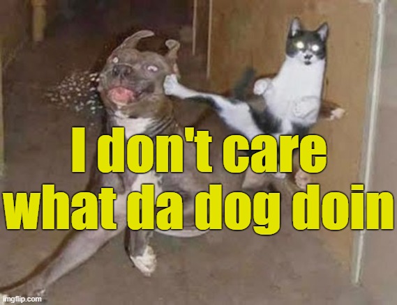 GET REKT | I don't care what da dog doin | image tagged in get rekt | made w/ Imgflip meme maker