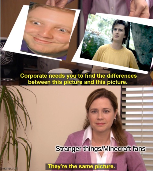 some people might understand this |  Stranger things/Minecraft fans | image tagged in memes,they're the same picture | made w/ Imgflip meme maker