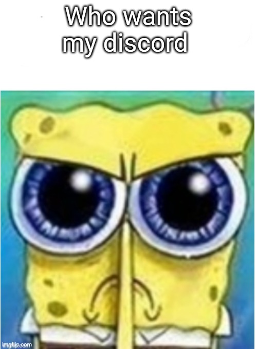 Account to message me | Who wants my discord | image tagged in angry spongebob blank | made w/ Imgflip meme maker