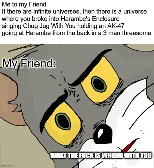 Unsettled Tom Meme | Me to my Friend
If there are infinite universes, then there is a universe where you broke into Harambe's Enclosure singing Chug Jug With You holding an AK-47 going at Harambe from the back in a 3 man threesome; My Friend:; WHAT THE FUCK IS WRONG WITH YOU | image tagged in memes,unsettled tom | made w/ Imgflip meme maker