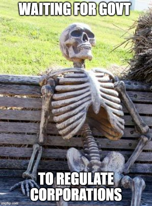 corporations run the world |  WAITING FOR GOVT; TO REGULATE CORPORATIONS | image tagged in memes,waiting skeleton,government,waiting,corporations | made w/ Imgflip meme maker